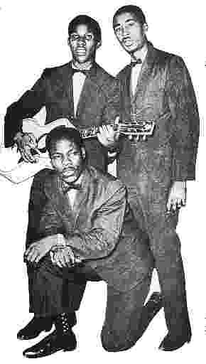 The
            Maytals